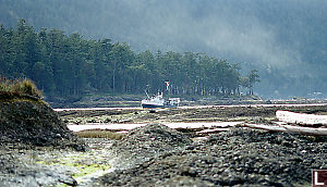 Curve of Time in Bay